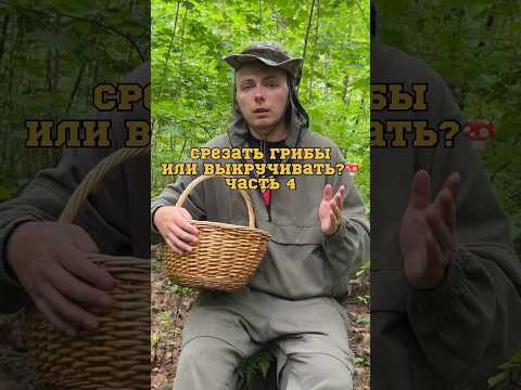 Чтобы не умереть, грибы нужно выкручивать, а не срезать!☠️