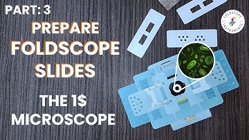 Foldscope Tutorial : Prepare Slides (Part 3) | The 1$ Microscope