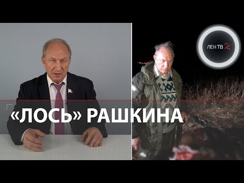 Рашкин признался в убийстве лося | Депутат от КПРФ высмеяли в Сети