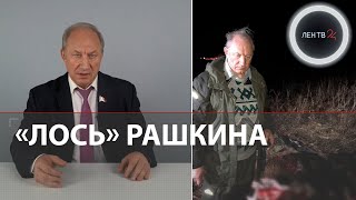 Рашкин признался в убийстве лося | Депутат от КПРФ высмеяли в Сети