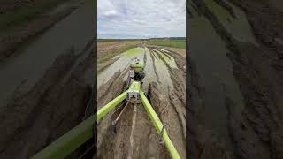 Мотоблок Zubr 8 Кс.