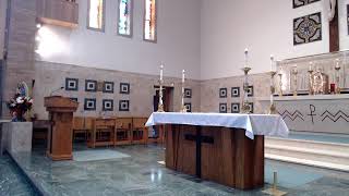 Corpus Christi: How Baptism and Marriage Reveal Christ's Sacrificial Love