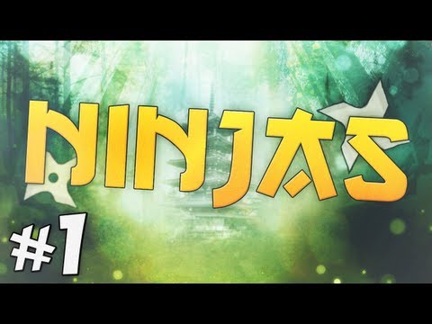 Ninjas #1 - The Contract