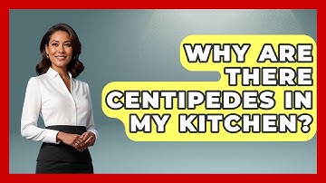Why Are There Centipedes In My Kitchen? - Insects and Invaders
