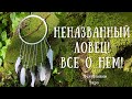 НЕНАЗВАННЫЙ ЛОВЕЦ! Все О Нем! Диагностика На Таро🦋