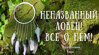 НЕНАЗВАННЫЙ ЛОВЕЦ! Все О Нем! Диагностика На Таро🦋