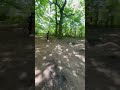 some small jumps #mtb