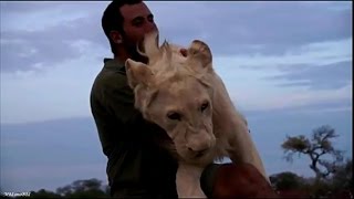 Классное видео о дружбе человека со львами))) Классное видео о дружбе человека со львами)))