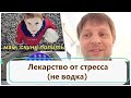 #стресс #попит Коротков говорит: Лекарство от стресса (не водка)