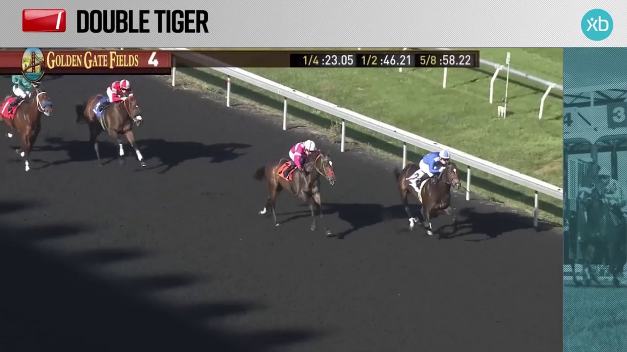 black book xpress double tiger nov 4 2018 youtube