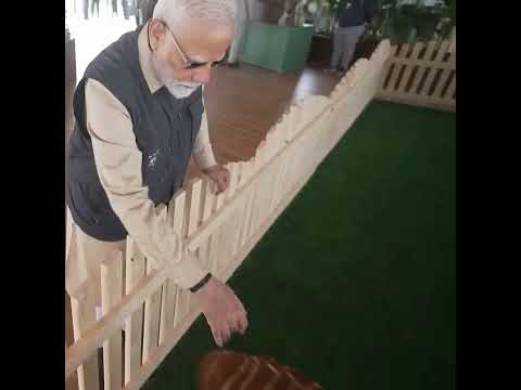 🇮🇳 PM Modi's Vantara Inauguration, Jamnagar 🐾 Wildlife Rescue & Rehab 🌳