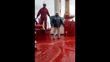 SID Card update | Application for SID card | Merchant navy | Life at sea | Life on ship |