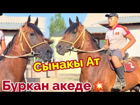 Video: Россия 