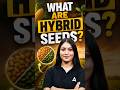 🌱 Hybrid Seeds आखिर होते क्या हैं? #agricultureadda #seeds #hybrid #shortsfeed