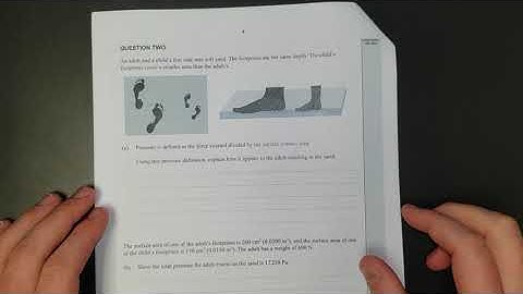 2019 Mechanics (NCEA Level 1)-Q2