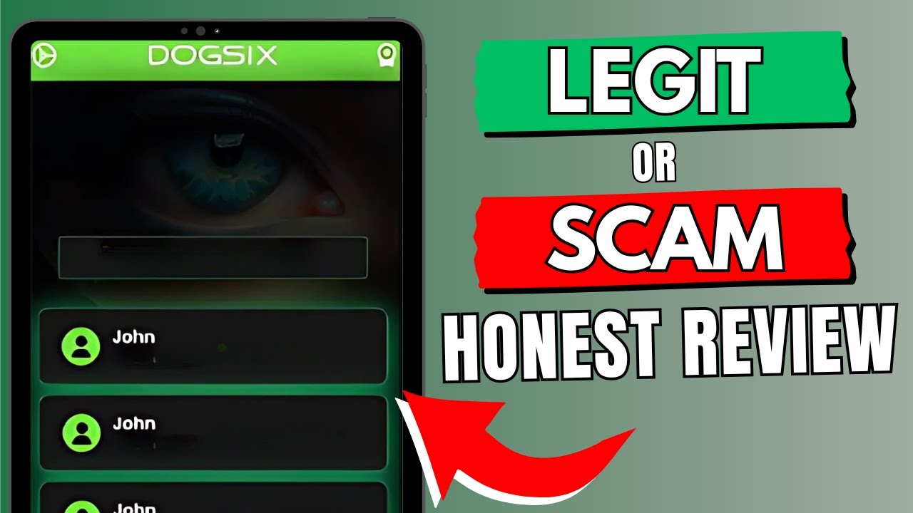 Обзор онлайн-трекера Dogsix — законное приложение или мошенничество?