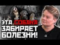 Звериная чуйка. Как собаки и коты берегут хозяев от магии и предупреждают об опасности?