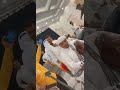 من حفله آل المنصوري مقطع صوت صغير من اغنية ياكحيل الرنا