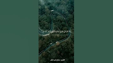 | واصبر وما صبرك الا بالله ولا تحزن عليهم | القارئ : صلاح ابو خاطر  |