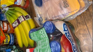 Small Walmart Grocery Haul by Life As Teisha Marie 96 views 7 months ago 1 minute, 17 seconds