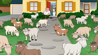 Family Guy - Peter buys goats on craigslist