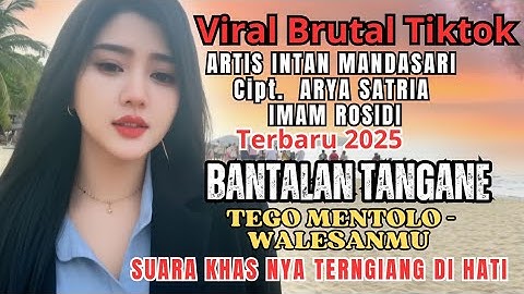 FULL ALBUM INTAN MANDASARI TERBARU 2025 - BANTALAN TANGANE / DANGDUT JAWA ENAK DI DENGAR PAS MASAK