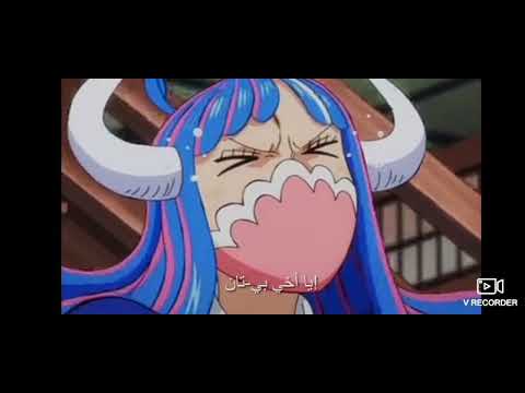 Video Onepiece8 Video Onepiece8