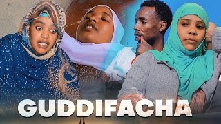 🔴Faya Jiru | Guddifacha | New Diraamaa Afaan Oromo