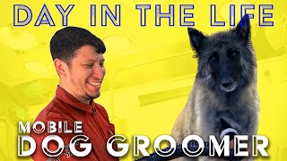 Day In The Life  Mobile Dog Groomer