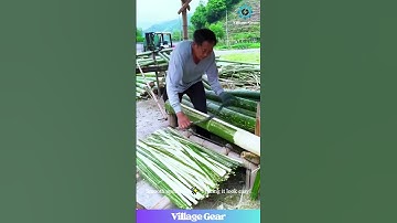 Bamboo Ninja Skills Activated! 🥷 Peeling This Looks So SMOOTH! #bamboo #skills #satisfying  #craft