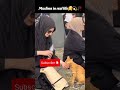 #ramadan #muslim #muslimsgirl #cats #shorts #shortvideo