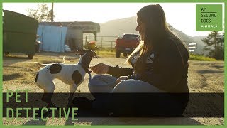 Pet Detective // 60 Second Docs