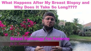 Breast Pathology For Patients (What Happens to my Breast Biopsy and Why Does it Take So Long???)