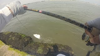 New jersey flounder fishing