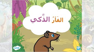 الفأر الذكي | قصص توينكل بالعربي