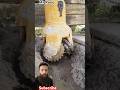 Satisfying Water Well Drilling #shortsfeed #trending