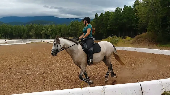 August FSHS Online Dressage Show.  Heidi Roy & Rio...