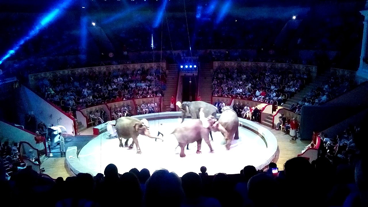 Цирк на фонтанке - YouTube