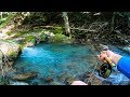 The BEST Brook Trout Stream EVER! (ULTRA CLEAR WATER)