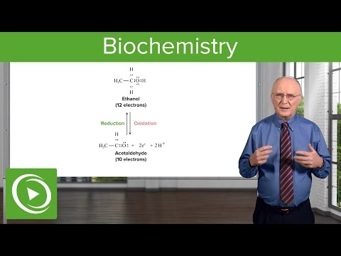 Video: Decoding A Biochemical Blood Test In Adults: Table, Norms