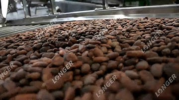 Cocoa Bean Cooling Machine/Nut Cooling Machine/Roasted Peanut Cooling Machine/Almond Cooling Machine