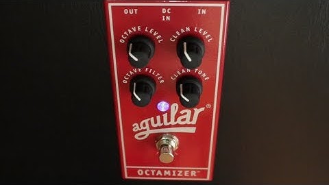 Aguilar Octamizer Pedal with Norm Stockton  **ArtOfGroove.com**