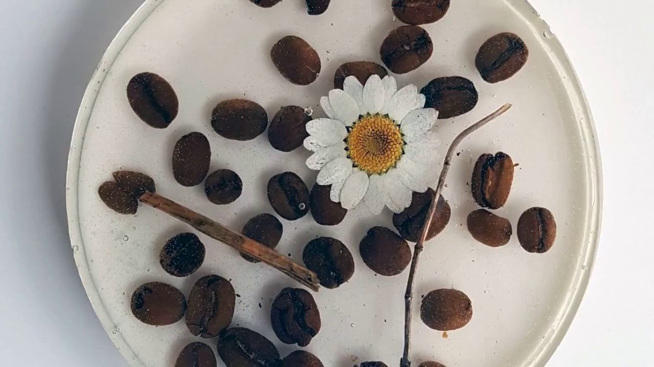 Real flowers and fresh fruit epoxy coasters???