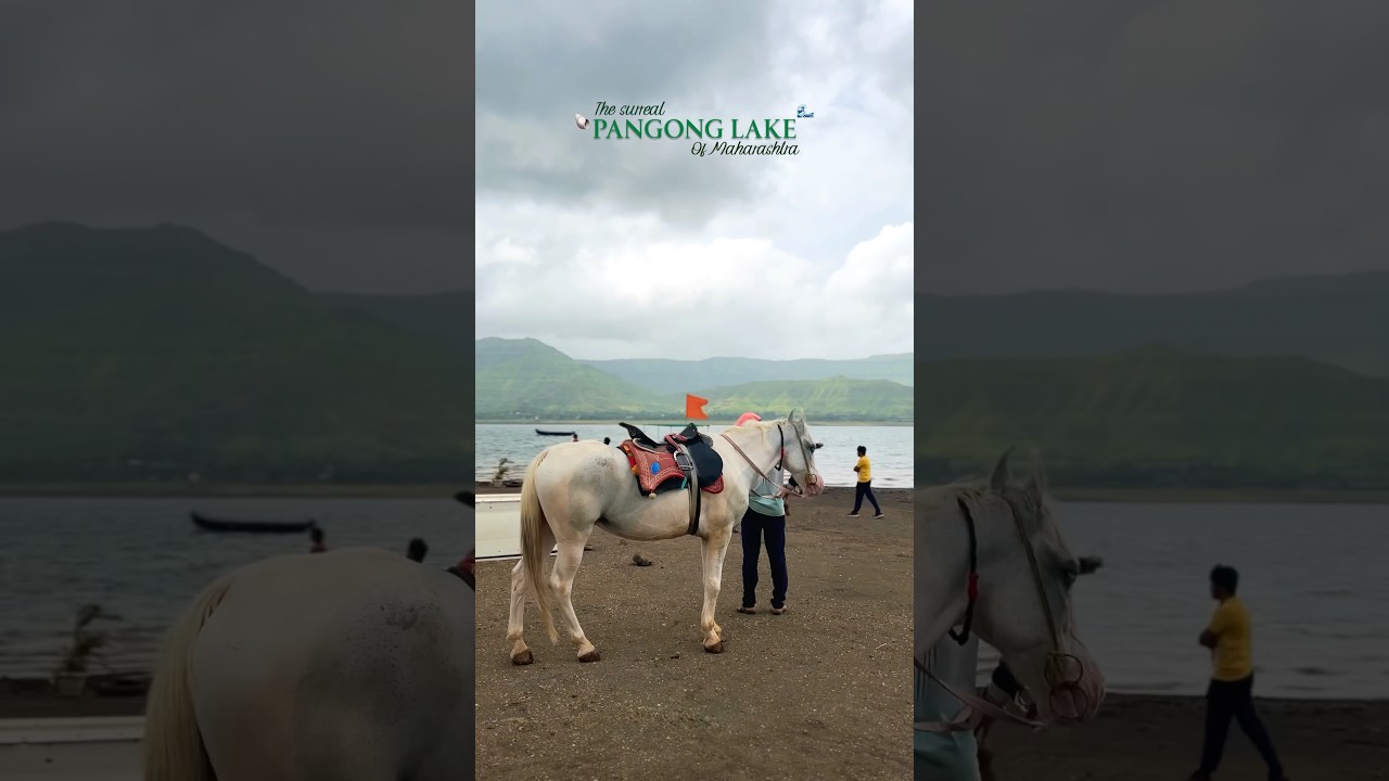 Maharashtra’s Pangong Lake - Dhom Lake, Wai📍🕊️🌊