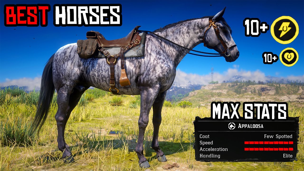 5 Best Horses for Arthur in Chapter 3 - Red Dead Redemption 2