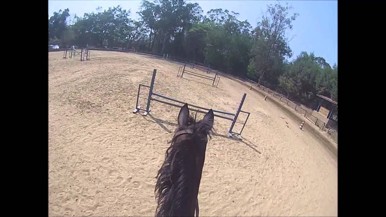 Nathalia e King. Testando a GoPro. YouTube