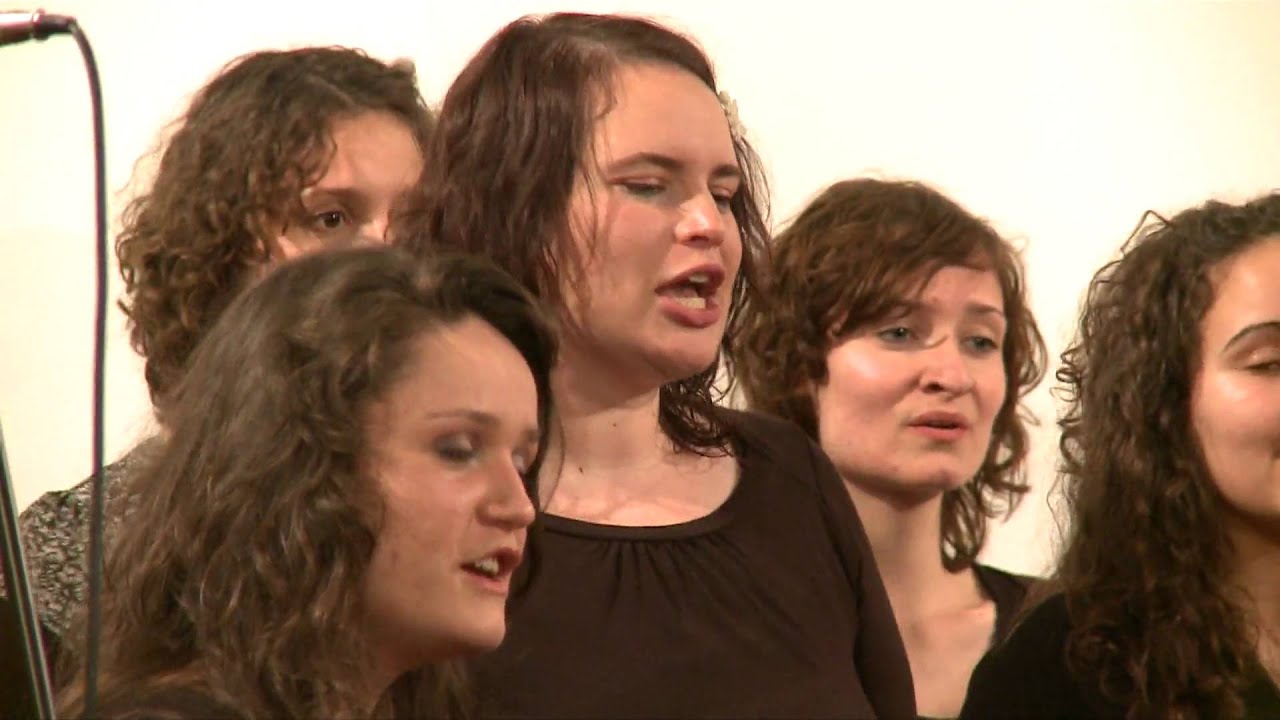 BeeGeesus - Freedom is coming