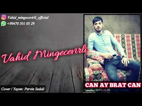 Vahid Mingecevirli- Can Ay Brat Can 2019( Official Audio)