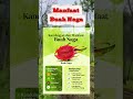 Kandungan &amp; manfaat buah naga #infokesehatan
