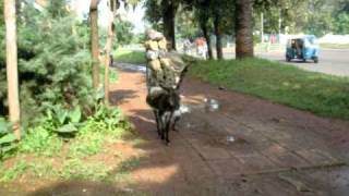 CIMG0040.AVI